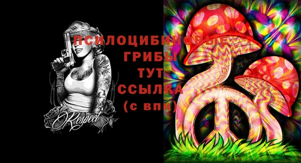 альфа пвп Нефтекумск