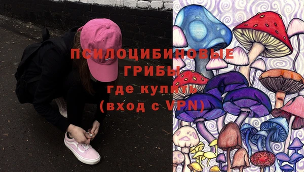 меф Нефтегорск