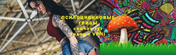 spice Нея